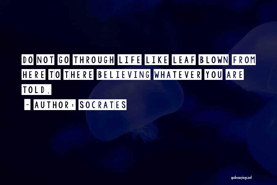 Socrates Quotes: Do Not Go Through Life Like Leaf Blown From Here To There Believing Whatever You Are Told.