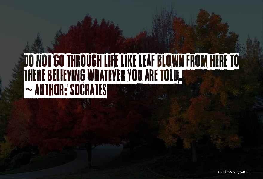 Socrates Quotes: Do Not Go Through Life Like Leaf Blown From Here To There Believing Whatever You Are Told.