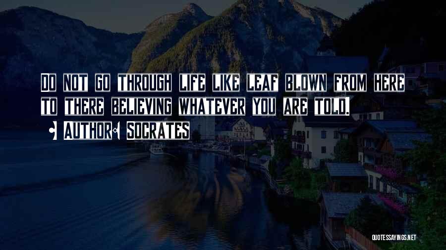 Socrates Quotes: Do Not Go Through Life Like Leaf Blown From Here To There Believing Whatever You Are Told.