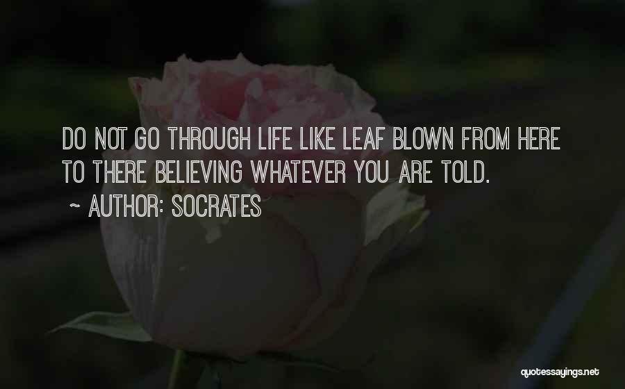 Socrates Quotes: Do Not Go Through Life Like Leaf Blown From Here To There Believing Whatever You Are Told.