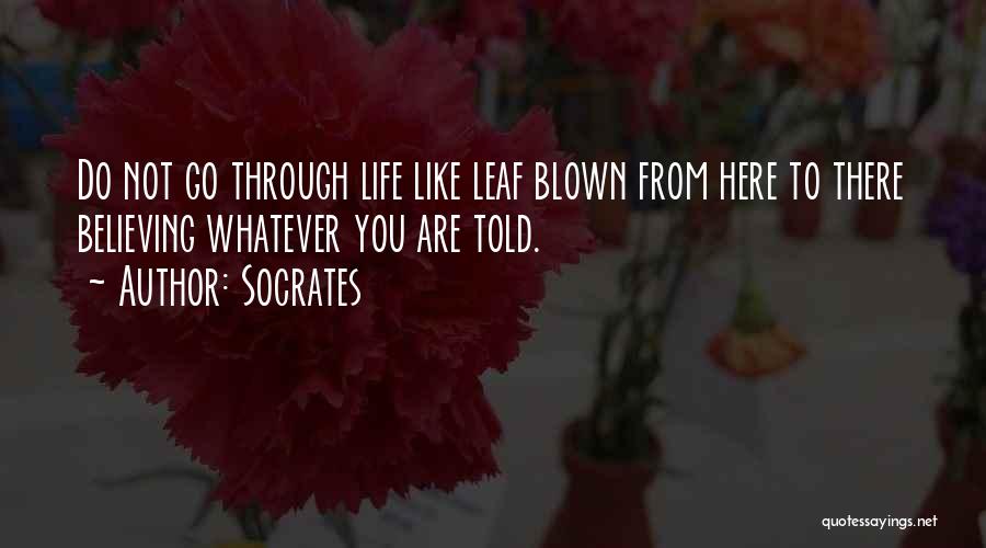 Socrates Quotes: Do Not Go Through Life Like Leaf Blown From Here To There Believing Whatever You Are Told.