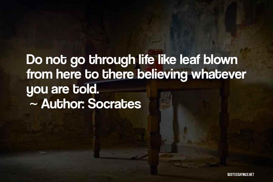 Socrates Quotes: Do Not Go Through Life Like Leaf Blown From Here To There Believing Whatever You Are Told.