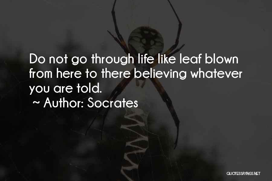 Socrates Quotes: Do Not Go Through Life Like Leaf Blown From Here To There Believing Whatever You Are Told.