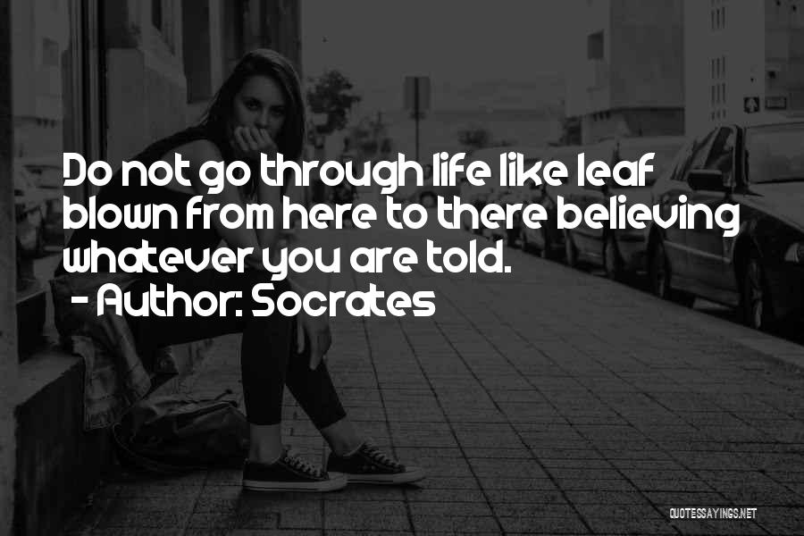 Socrates Quotes: Do Not Go Through Life Like Leaf Blown From Here To There Believing Whatever You Are Told.