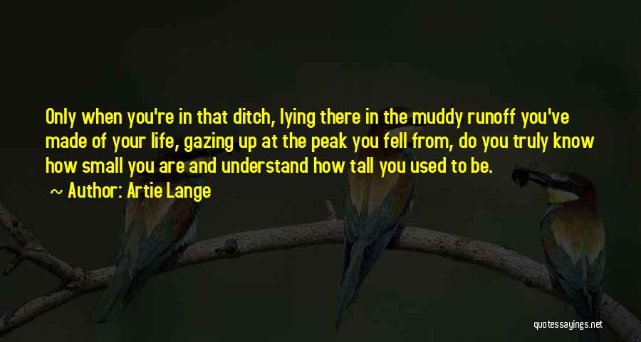 Artie Lange Quotes: Only When You're In That Ditch, Lying There In The Muddy Runoff You've Made Of Your Life, Gazing Up At