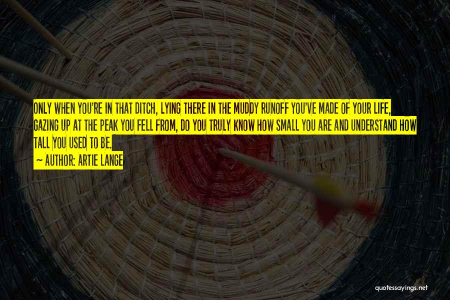 Artie Lange Quotes: Only When You're In That Ditch, Lying There In The Muddy Runoff You've Made Of Your Life, Gazing Up At