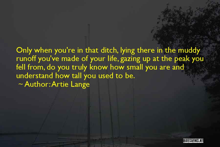 Artie Lange Quotes: Only When You're In That Ditch, Lying There In The Muddy Runoff You've Made Of Your Life, Gazing Up At