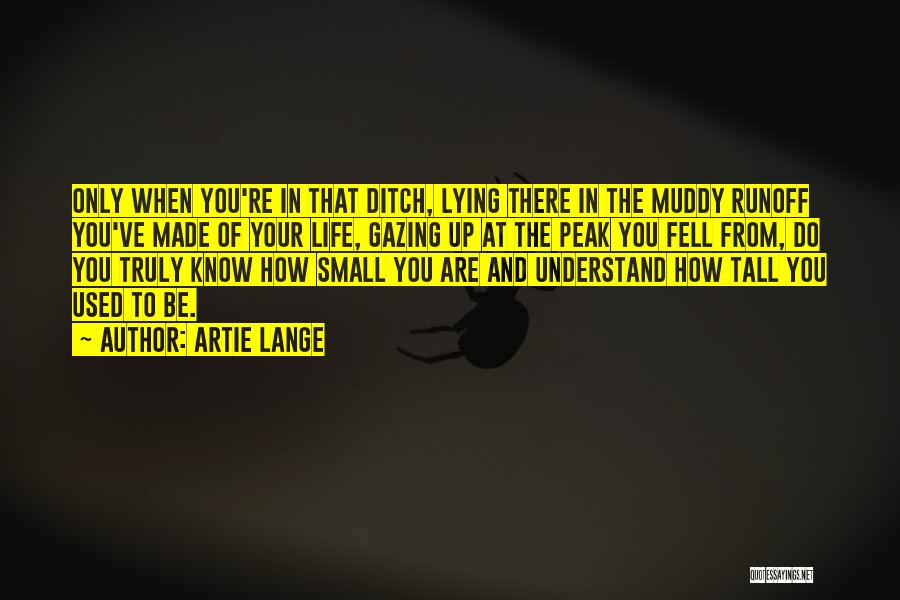 Artie Lange Quotes: Only When You're In That Ditch, Lying There In The Muddy Runoff You've Made Of Your Life, Gazing Up At