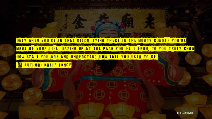 Artie Lange Quotes: Only When You're In That Ditch, Lying There In The Muddy Runoff You've Made Of Your Life, Gazing Up At