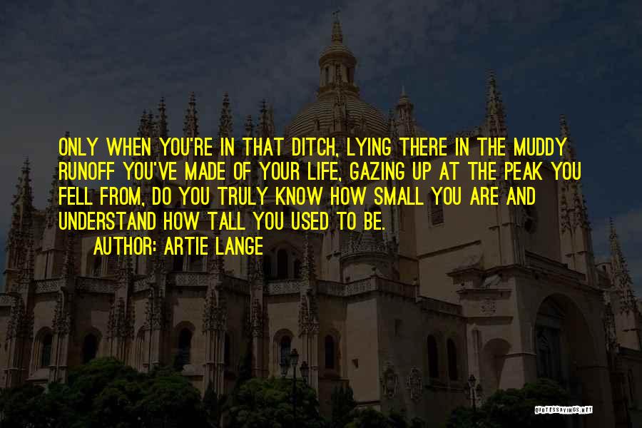 Artie Lange Quotes: Only When You're In That Ditch, Lying There In The Muddy Runoff You've Made Of Your Life, Gazing Up At