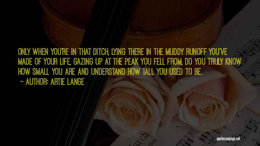 Artie Lange Quotes: Only When You're In That Ditch, Lying There In The Muddy Runoff You've Made Of Your Life, Gazing Up At