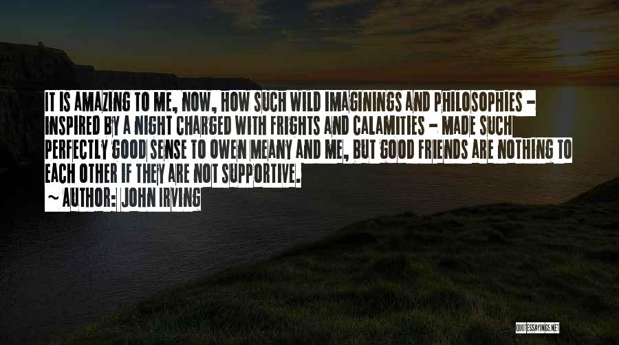 John Irving Quotes: It Is Amazing To Me, Now, How Such Wild Imaginings And Philosophies - Inspired By A Night Charged With Frights