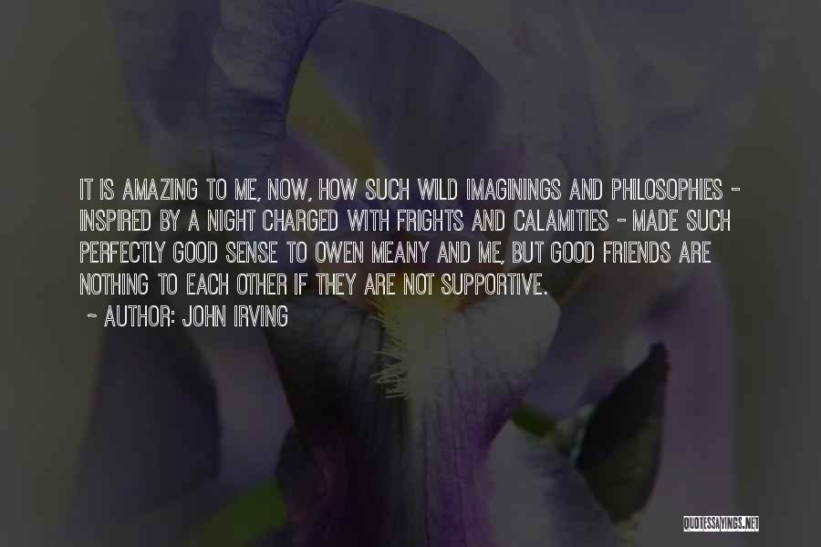 John Irving Quotes: It Is Amazing To Me, Now, How Such Wild Imaginings And Philosophies - Inspired By A Night Charged With Frights