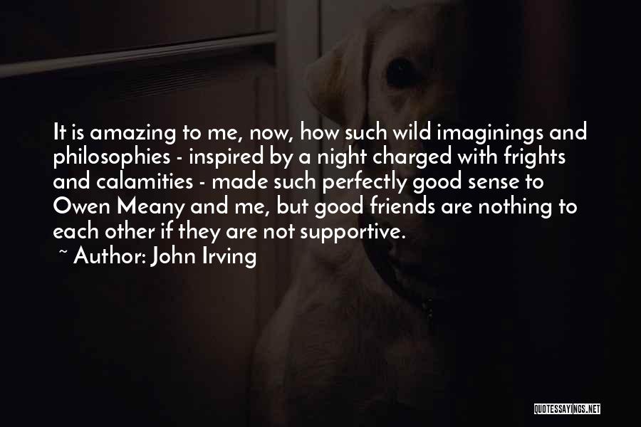 John Irving Quotes: It Is Amazing To Me, Now, How Such Wild Imaginings And Philosophies - Inspired By A Night Charged With Frights