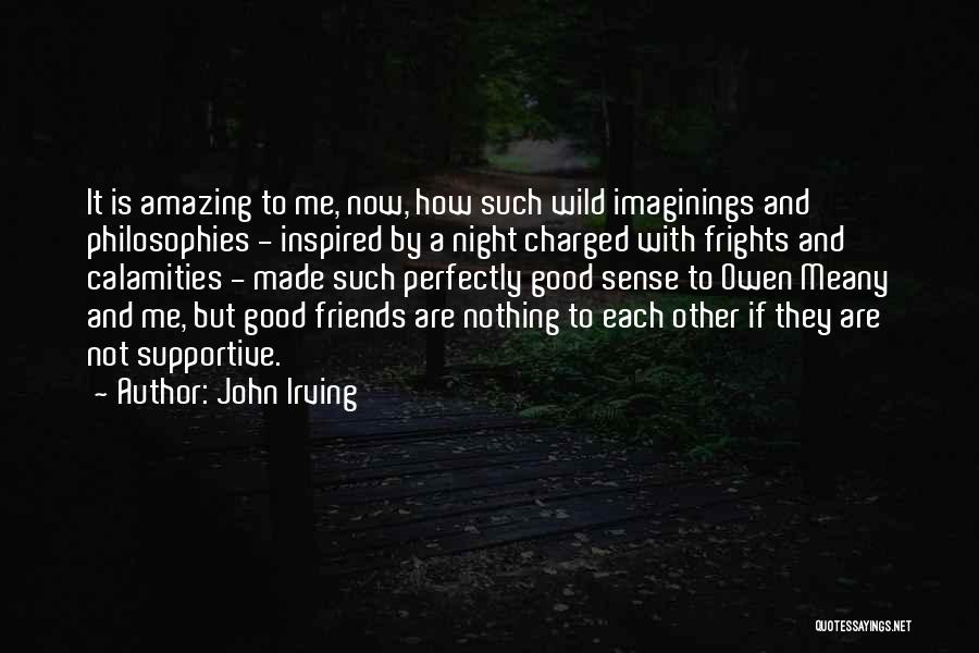 John Irving Quotes: It Is Amazing To Me, Now, How Such Wild Imaginings And Philosophies - Inspired By A Night Charged With Frights