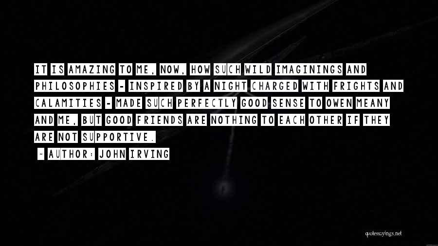 John Irving Quotes: It Is Amazing To Me, Now, How Such Wild Imaginings And Philosophies - Inspired By A Night Charged With Frights