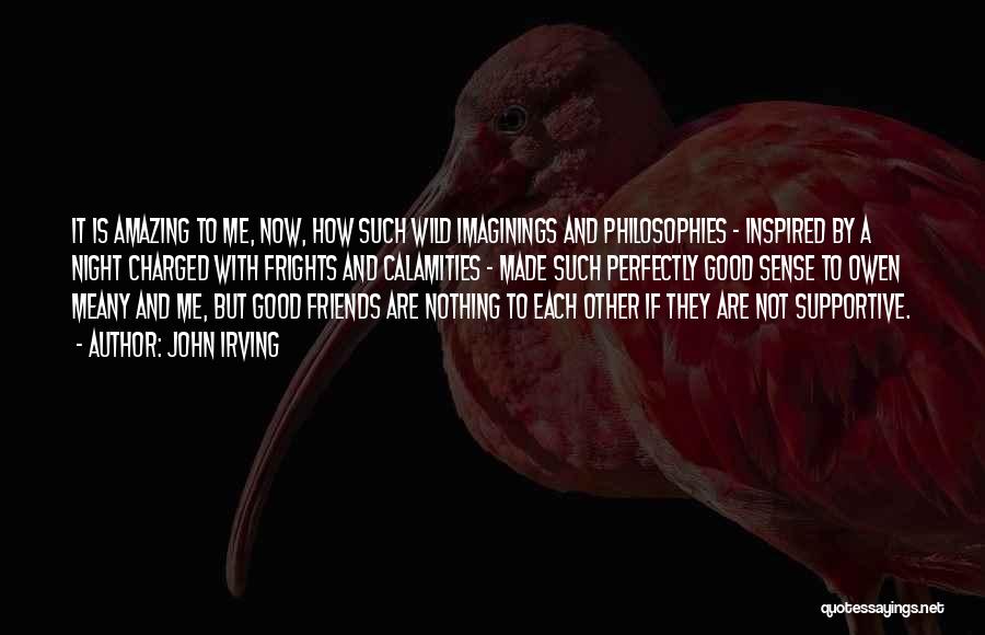 John Irving Quotes: It Is Amazing To Me, Now, How Such Wild Imaginings And Philosophies - Inspired By A Night Charged With Frights