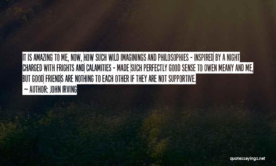 John Irving Quotes: It Is Amazing To Me, Now, How Such Wild Imaginings And Philosophies - Inspired By A Night Charged With Frights