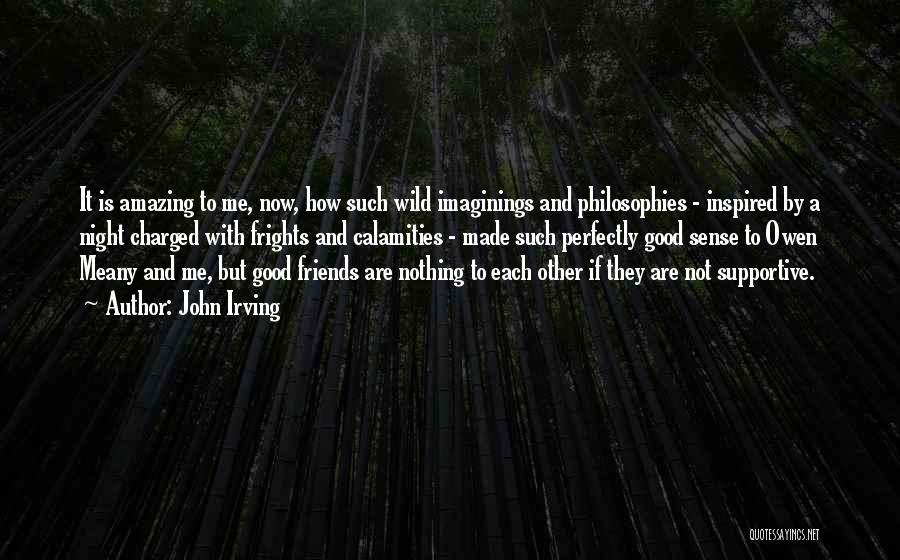 John Irving Quotes: It Is Amazing To Me, Now, How Such Wild Imaginings And Philosophies - Inspired By A Night Charged With Frights