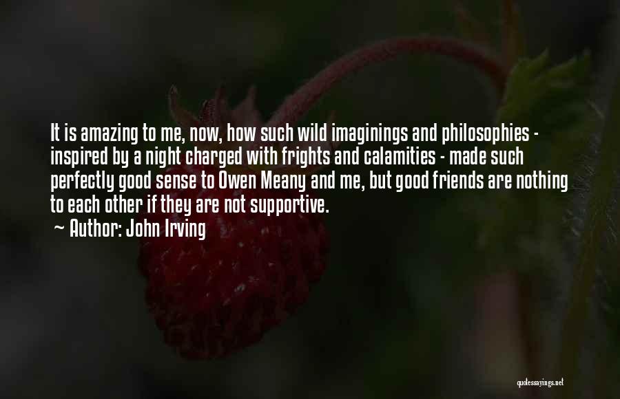 John Irving Quotes: It Is Amazing To Me, Now, How Such Wild Imaginings And Philosophies - Inspired By A Night Charged With Frights
