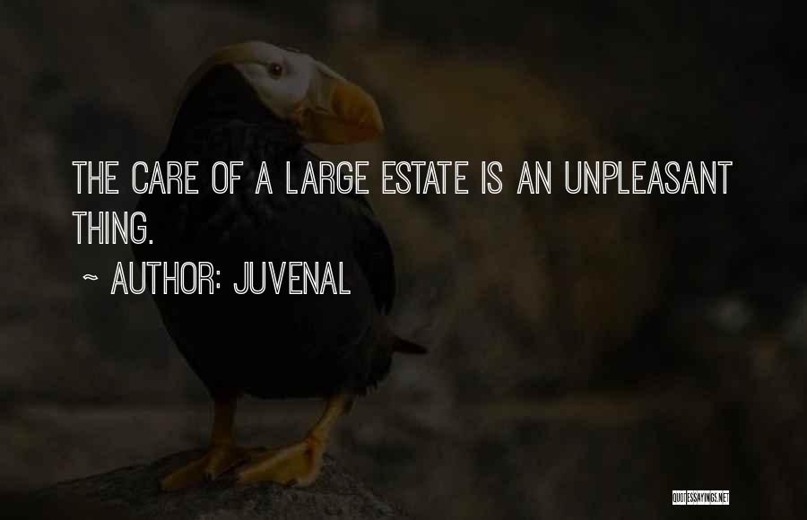 Juvenal Quotes: The Care Of A Large Estate Is An Unpleasant Thing.