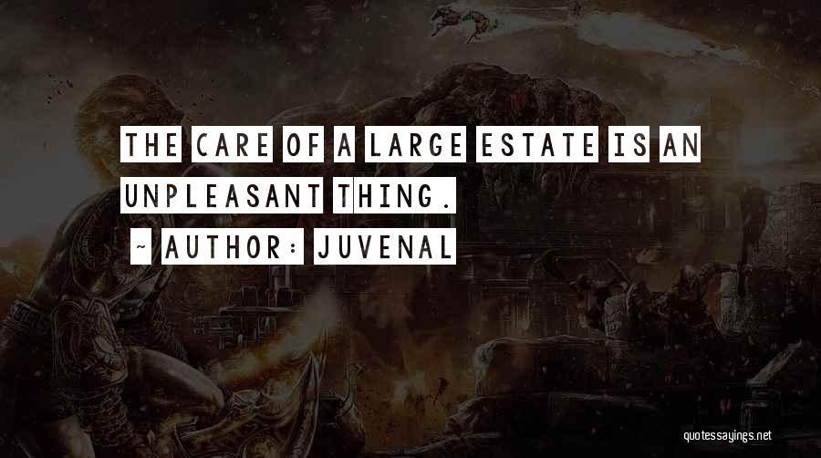 Juvenal Quotes: The Care Of A Large Estate Is An Unpleasant Thing.