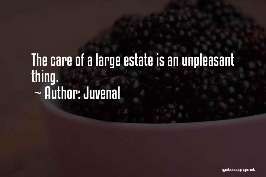 Juvenal Quotes: The Care Of A Large Estate Is An Unpleasant Thing.