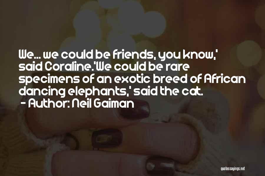 Neil Gaiman Quotes: We... We Could Be Friends, You Know,' Said Coraline.'we Could Be Rare Specimens Of An Exotic Breed Of African Dancing