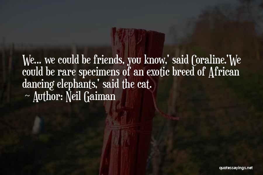 Neil Gaiman Quotes: We... We Could Be Friends, You Know,' Said Coraline.'we Could Be Rare Specimens Of An Exotic Breed Of African Dancing