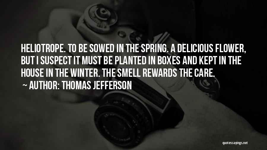 Thomas Jefferson Quotes: Heliotrope. To Be Sowed In The Spring. A Delicious Flower, But I Suspect It Must Be Planted In Boxes And
