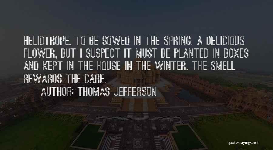 Thomas Jefferson Quotes: Heliotrope. To Be Sowed In The Spring. A Delicious Flower, But I Suspect It Must Be Planted In Boxes And