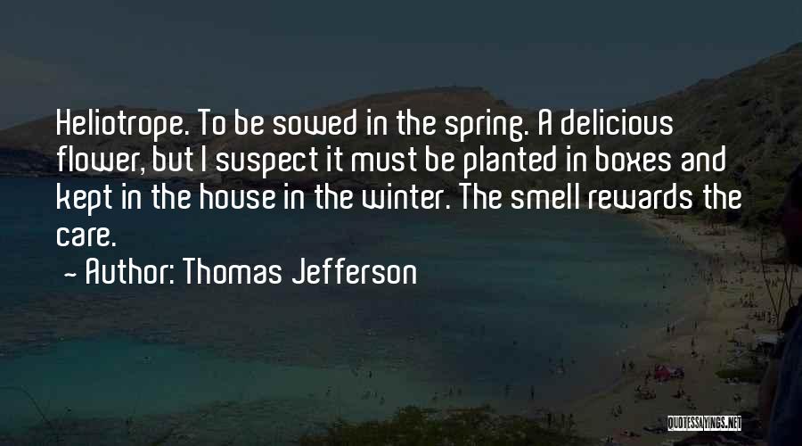 Thomas Jefferson Quotes: Heliotrope. To Be Sowed In The Spring. A Delicious Flower, But I Suspect It Must Be Planted In Boxes And