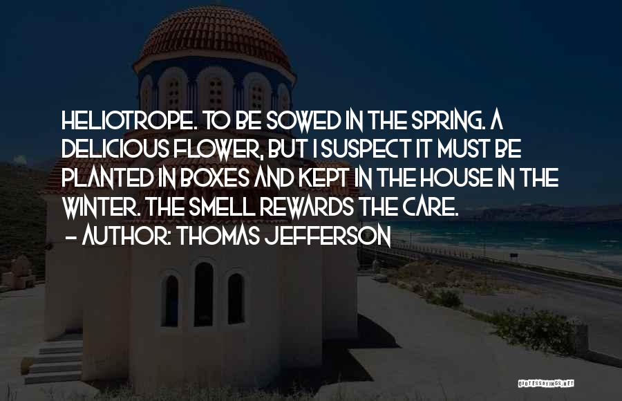 Thomas Jefferson Quotes: Heliotrope. To Be Sowed In The Spring. A Delicious Flower, But I Suspect It Must Be Planted In Boxes And