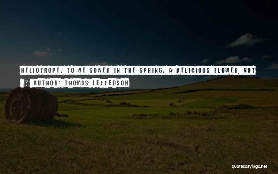 Thomas Jefferson Quotes: Heliotrope. To Be Sowed In The Spring. A Delicious Flower, But I Suspect It Must Be Planted In Boxes And