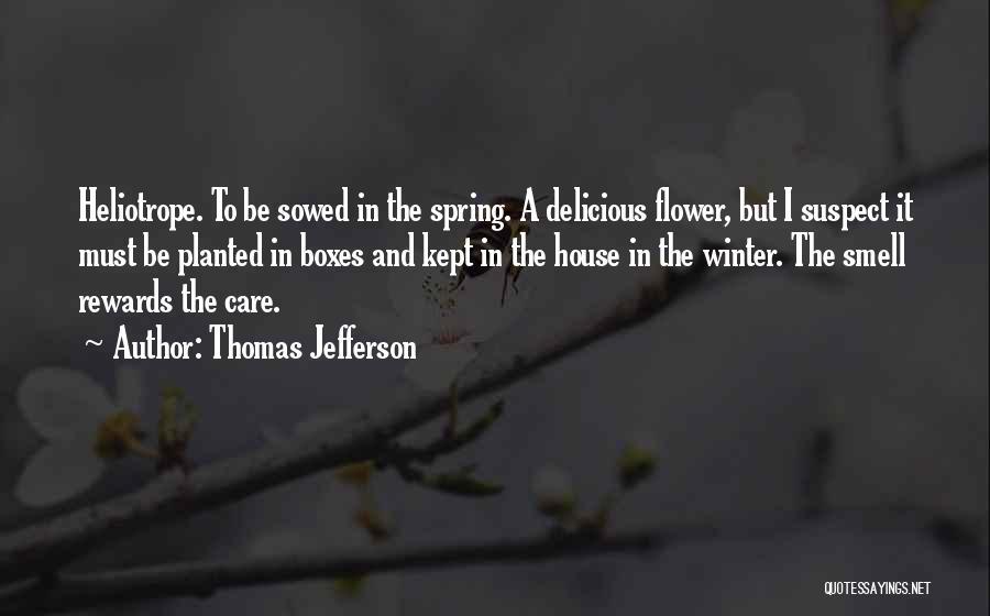 Thomas Jefferson Quotes: Heliotrope. To Be Sowed In The Spring. A Delicious Flower, But I Suspect It Must Be Planted In Boxes And