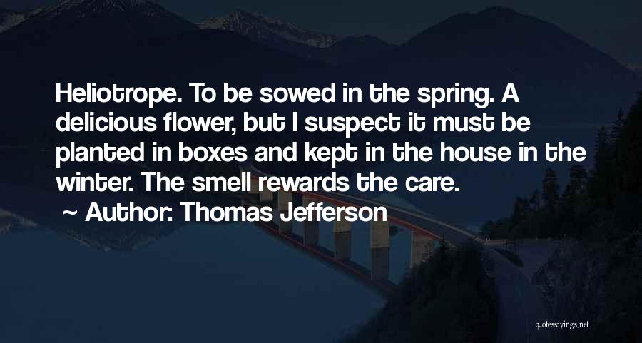 Thomas Jefferson Quotes: Heliotrope. To Be Sowed In The Spring. A Delicious Flower, But I Suspect It Must Be Planted In Boxes And