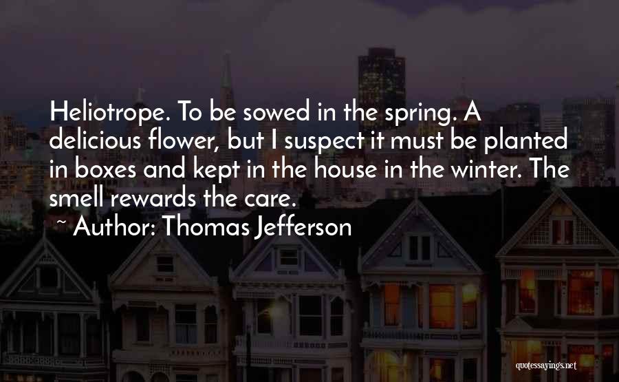 Thomas Jefferson Quotes: Heliotrope. To Be Sowed In The Spring. A Delicious Flower, But I Suspect It Must Be Planted In Boxes And