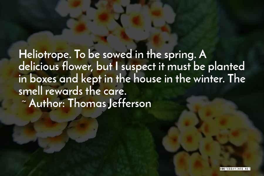 Thomas Jefferson Quotes: Heliotrope. To Be Sowed In The Spring. A Delicious Flower, But I Suspect It Must Be Planted In Boxes And