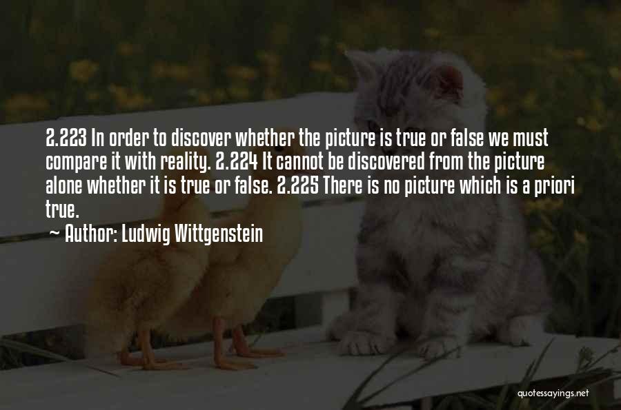 Ludwig Wittgenstein Quotes: 2.223 In Order To Discover Whether The Picture Is True Or False We Must Compare It With Reality. 2.224 It