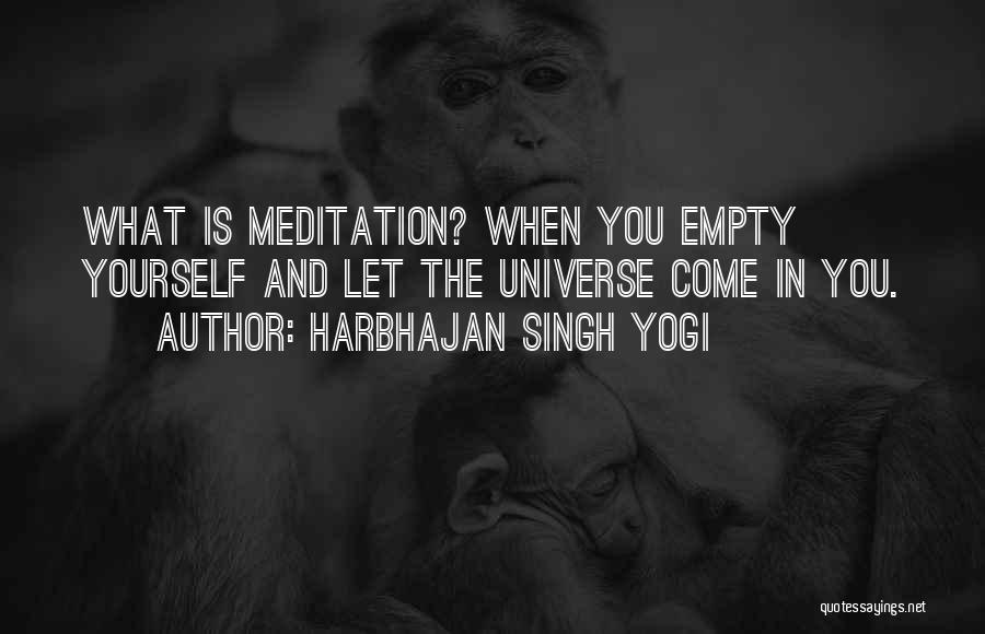 Harbhajan Singh Yogi Quotes: What Is Meditation? When You Empty Yourself And Let The Universe Come In You.