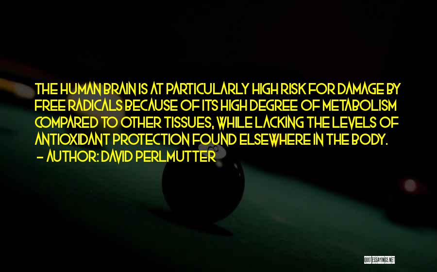 David Perlmutter Quotes: The Human Brain Is At Particularly High Risk For Damage By Free Radicals Because Of Its High Degree Of Metabolism