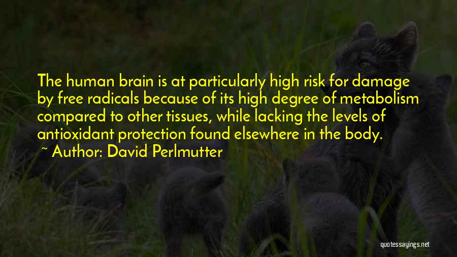 David Perlmutter Quotes: The Human Brain Is At Particularly High Risk For Damage By Free Radicals Because Of Its High Degree Of Metabolism