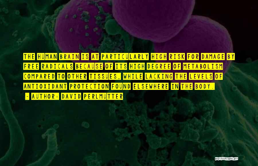 David Perlmutter Quotes: The Human Brain Is At Particularly High Risk For Damage By Free Radicals Because Of Its High Degree Of Metabolism
