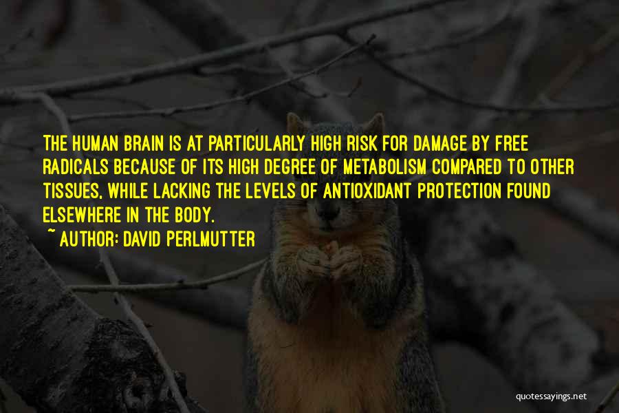 David Perlmutter Quotes: The Human Brain Is At Particularly High Risk For Damage By Free Radicals Because Of Its High Degree Of Metabolism