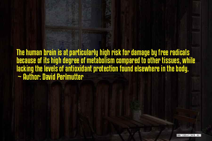 David Perlmutter Quotes: The Human Brain Is At Particularly High Risk For Damage By Free Radicals Because Of Its High Degree Of Metabolism