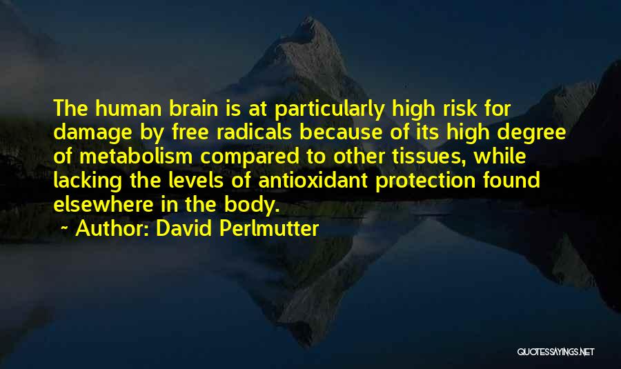 David Perlmutter Quotes: The Human Brain Is At Particularly High Risk For Damage By Free Radicals Because Of Its High Degree Of Metabolism