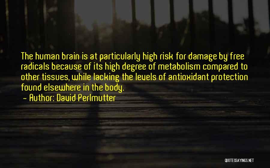 David Perlmutter Quotes: The Human Brain Is At Particularly High Risk For Damage By Free Radicals Because Of Its High Degree Of Metabolism
