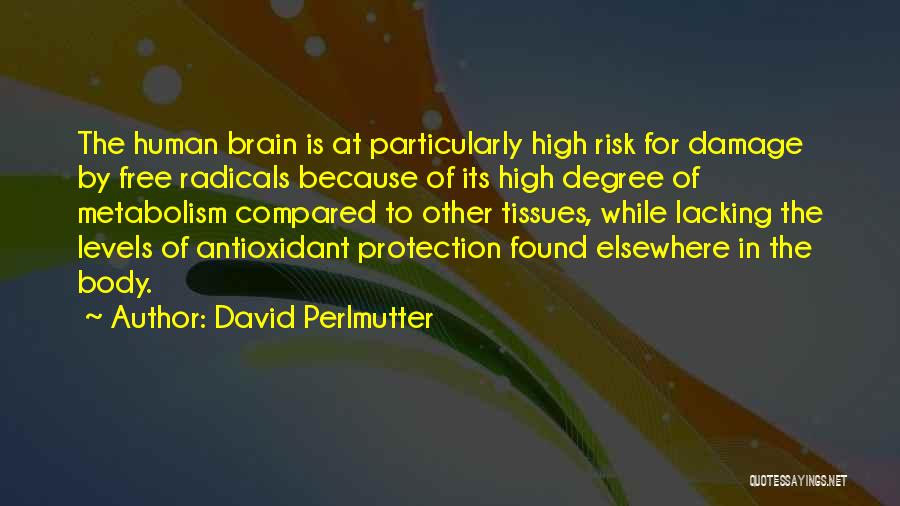 David Perlmutter Quotes: The Human Brain Is At Particularly High Risk For Damage By Free Radicals Because Of Its High Degree Of Metabolism