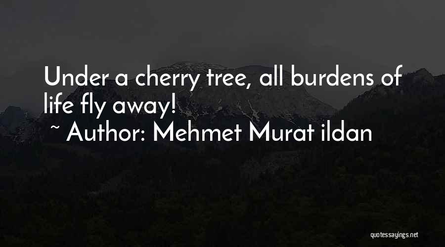 Mehmet Murat Ildan Quotes: Under A Cherry Tree, All Burdens Of Life Fly Away!
