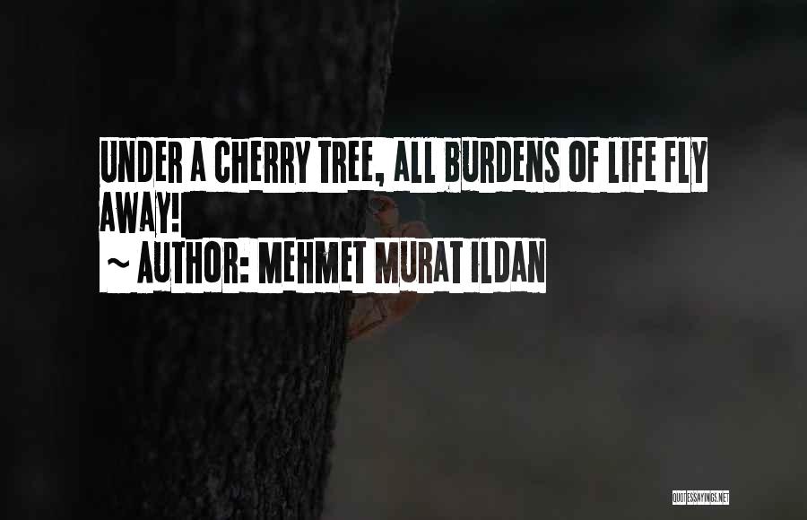 Mehmet Murat Ildan Quotes: Under A Cherry Tree, All Burdens Of Life Fly Away!